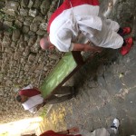 IMG_0453