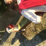 IMG_0454